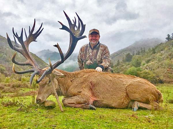 Packages & Meat Hunt – NZ Hunting